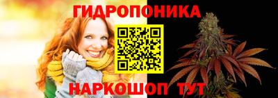 PSILOCYBIN Кунгур
