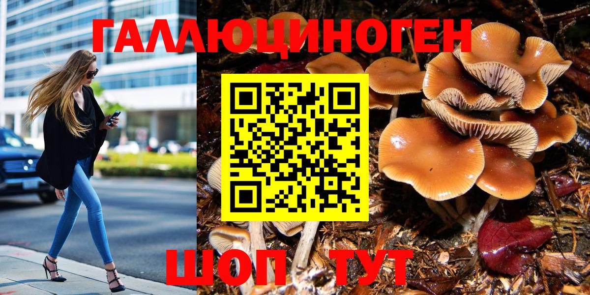 Псилоцибиновые грибы GOLDEN TEACHER Коммунар